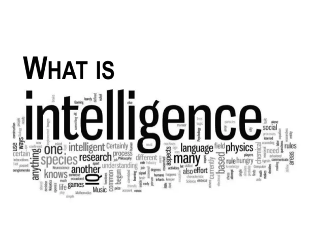 Are Professional Poker Players More Intelligent Than the Average Person? Are Professional Poker Players More Intelligent Than the Average Person?