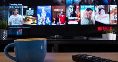 What Lessons Can Players Learn About Disaster Preparedness from Simulation Games? How to Use Royal IPTV Deutsch for Gaming News and Updates