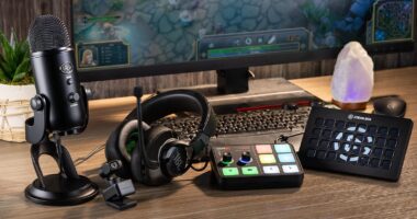 Aliens: Fireteam Enemy Types List – All the Xenomorphs The Gamer’s Guide to Filing Taxes – Tips for Professionals and Streamers